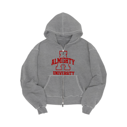 " Grey " Almighty University Zip Hoodie